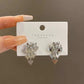 Aretes lluvias de corazones
