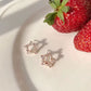 Aretes estrella